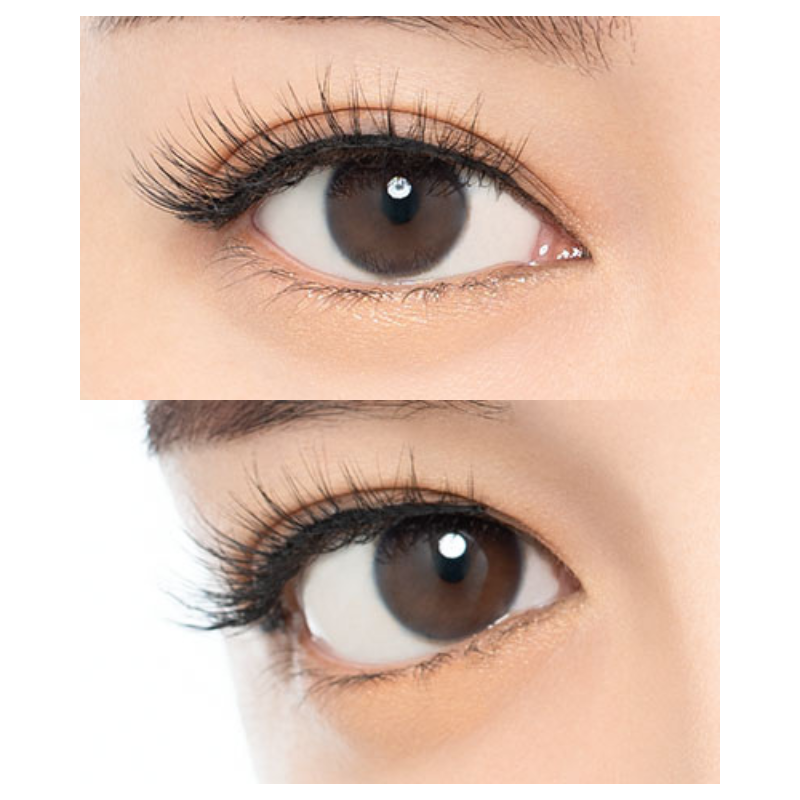 Miche Bloomin Eyelash No. 01 Pure Rich