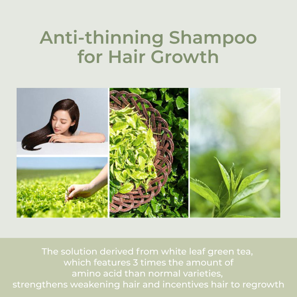 Amos Professional The Green Tea Shampoo Moisturing 500g
